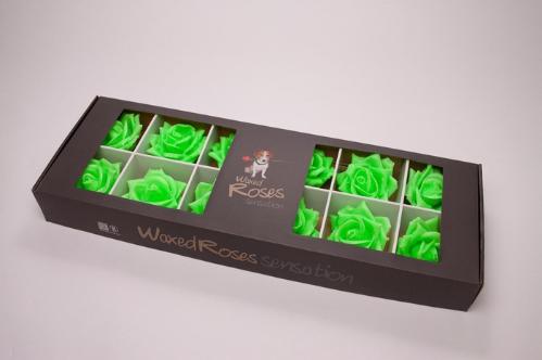 Rosa grootbloemig kleurbehandeld H%