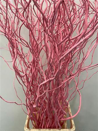 Salix kleurbehandeld H%