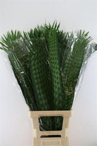 Decoratiegroen groot blad