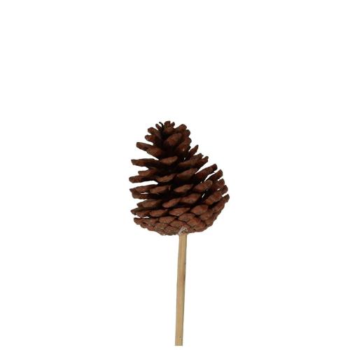 Sticks 50cm Pine cone d05cm