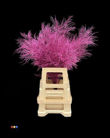 Decoratiegroen kleurbehandeld per bos H%