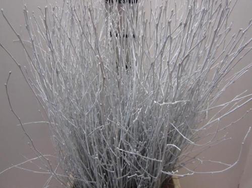 Betula kleurbehandeld H%