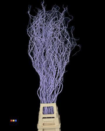 Salix kleurbehandeld H%