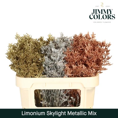 Limonium overig kleurbehandeld H%