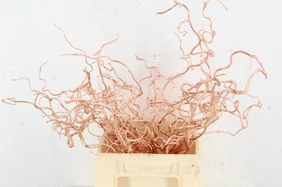 Decoratiegroen kleurbehandeld H%