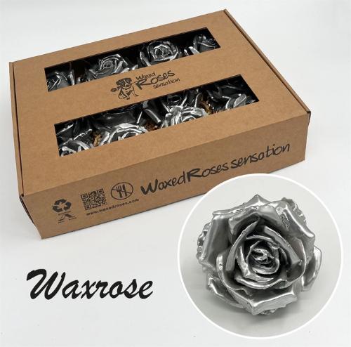 Rosa grootbloemig gewaxt H%