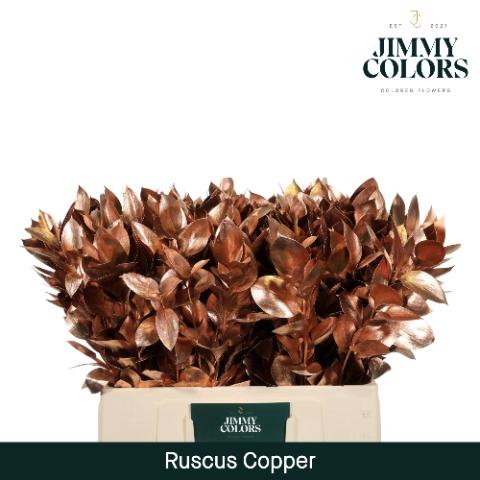 Ruscus kleurbehandeld H%