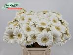 0fbaa8c8-ecd4-40a9-bb86-96b422f951a1.jpg