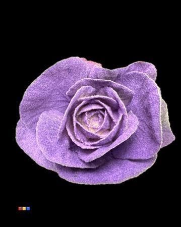 Brassica oleracea kleurbehandeld H%