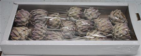 Huis en tuindecoratie overig 6%