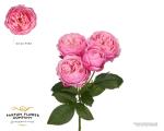 11eabe55-3458-4152-9320-a2f894d6bc32.jpg