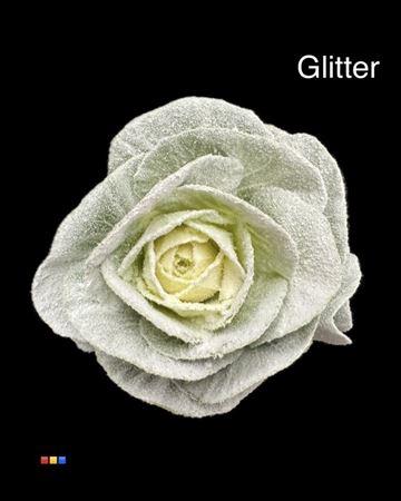 Brassica oleracea kleurbehandeld H%