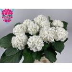 1246a89b-fbb8-41cb-a5e6-5e225fda1e12.jpg