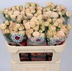 126de091-a7ad-40cd-bed6-a357b5712dc6.jpg