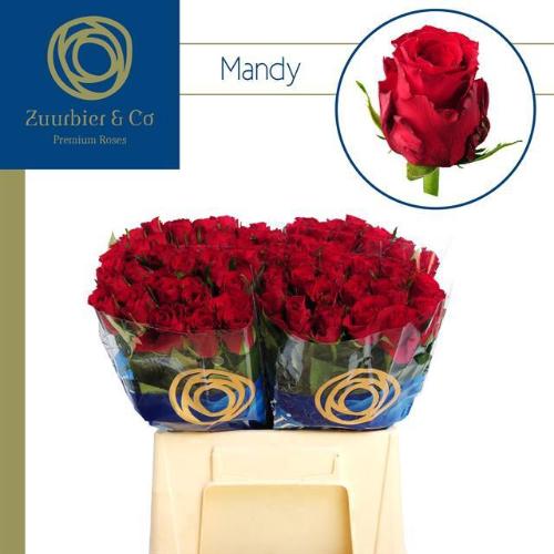 Rosa kleinbloemig Mandy