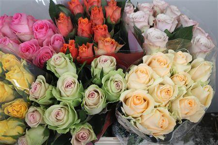 Rosa grootbloemig gemengd in fust