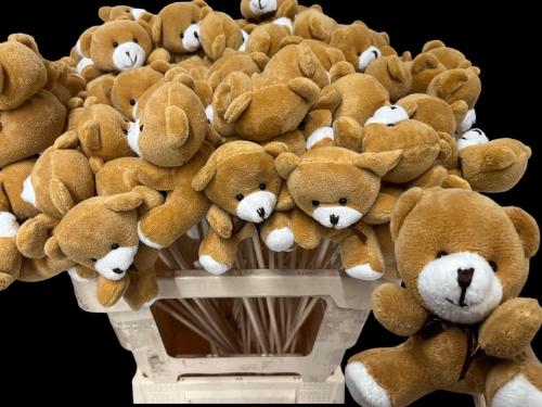 Huis en tuindecoratie overig H%