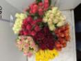 Rosa grootbloemig gemengd in fust