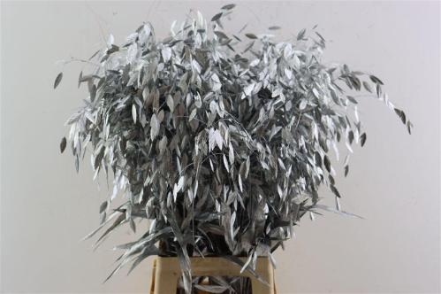 Snijbloemen overig kleurbehandeld H%