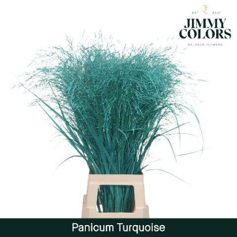 Siergras kleurbehandeld H%