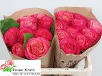 13bb4387-2733-430d-9095-ff831b1a4646.jpg