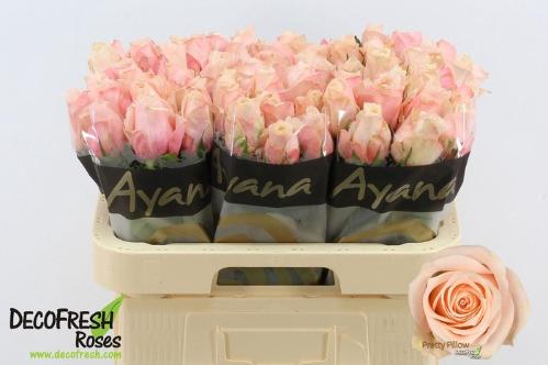 Rosa grootbloemig Pretty Pillow