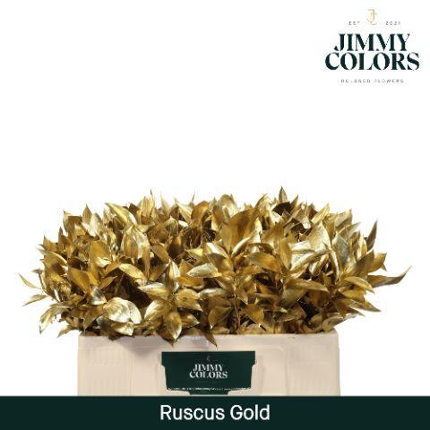 Ruscus kleurbehandeld H%
