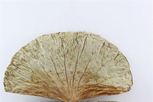 Huis en tuindecoratie overig H%