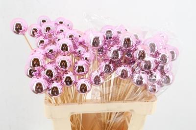 Huis en tuindecoratie overig H%