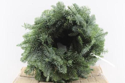 Krans Abies nobilis 6%