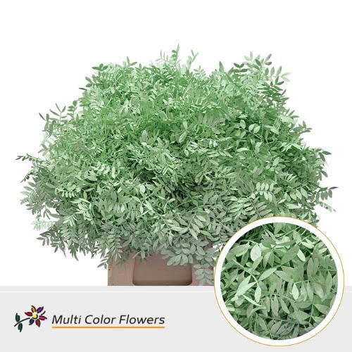 Decoratiegroen kleurbehandeld per bos H%