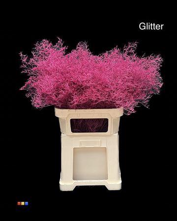 Limonium overig kleurbehandeld H%
