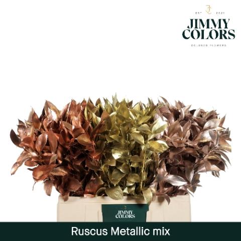 Ruscus kleurbehandeld H%