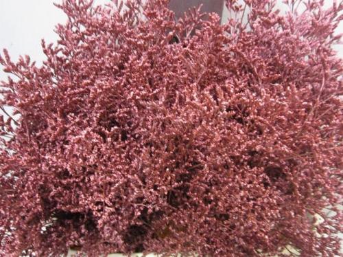 Limonium overig kleurbehandeld H%