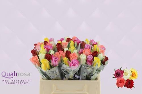 Rosa grootbloemig gemengd in bos