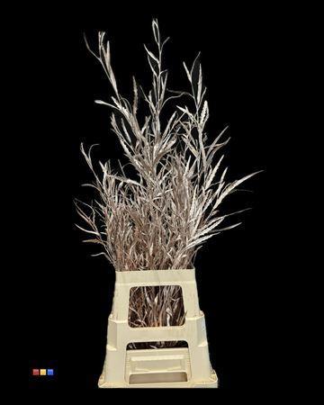 Decoratiegroen kleurbehandeld per bos H%