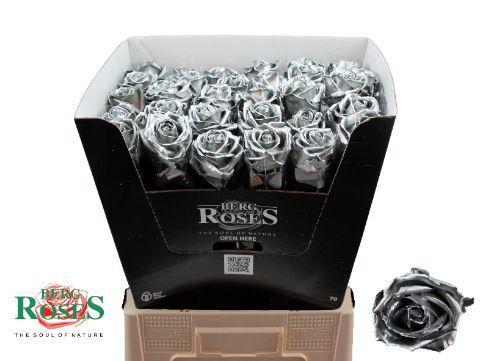 Rosa grootbloemig gewaxt H%