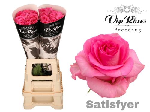 Rosa grootbloemig Satisfyer