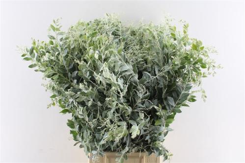 Decoratiegroen overig per bos