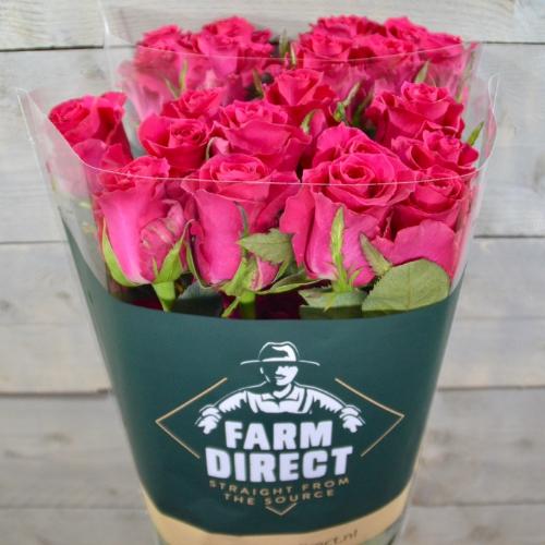 Rosa grootbloemig overig