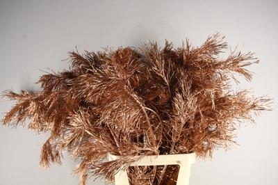 Decoratiegroen kleurbehandeld H%