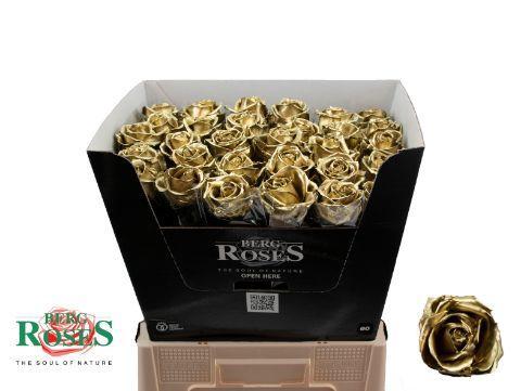 Rosa grootbloemig gewaxt H%