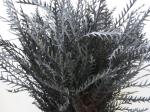 17c312ad-e6a1-4e12-ad84-1db6ee1b0d2d.jpg