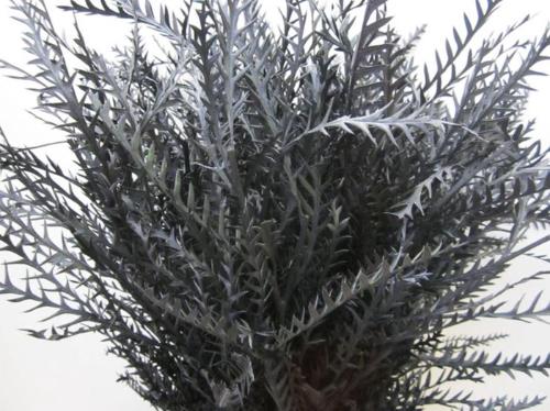 Decoratiegroen kleurbehandeld H%