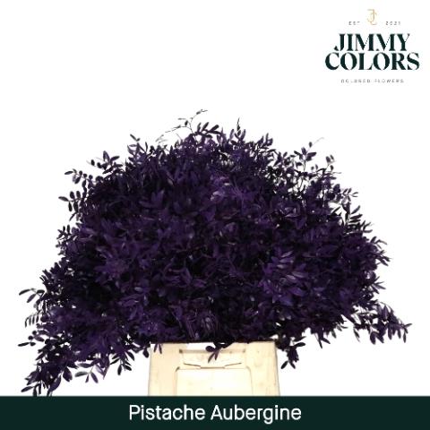 Pistacia kleurbehandeld H%