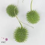 181440ec-46c7-4bf5-beef-b3cc9b39cc81.jpg