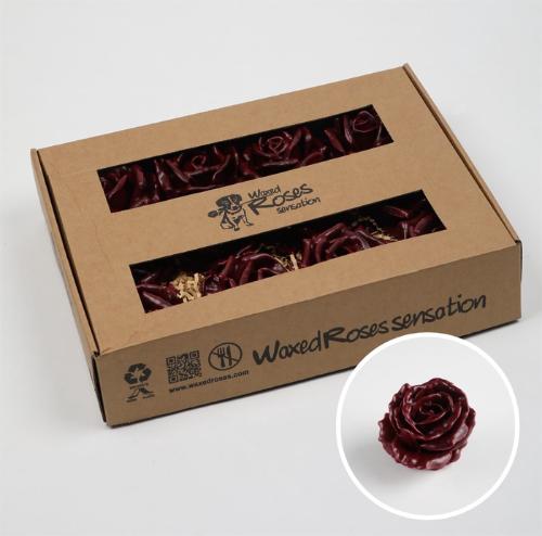 Rosa grootbloemig kleurbehandeld H%