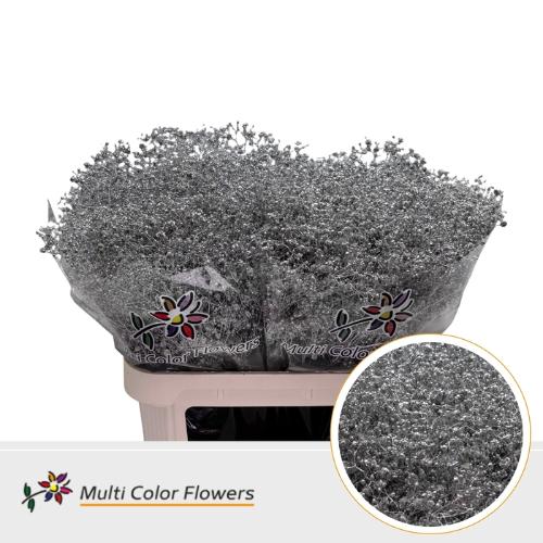 Gypsophila overig kleurbehandeld H%