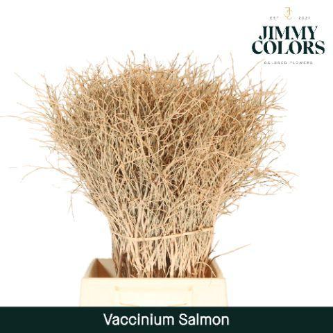 Vaccinium kleurbehandeld H%