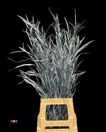 Decoratiegroen kleurbehandeld per bos H%